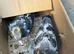 Very nice and very good and healthy racing pigeons