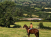 Oscar 16.2hh ISH GELDING ALL ROUNDER EASY PROJECT