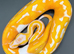 Dreamsicle ball/royal python hatchling
