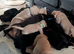 Labrador puppies