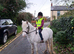 Child's all-rounder pony