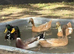 Indian runner ducklings x11 (due 10/06)