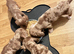 Miniature short hair dachshund