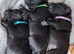 **Ready to Leave** KC Labrador Puppies