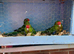 3 baby kakariki parrots for sale