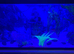 105 litre aquarium and stand