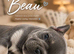 Beau – Our Hand Selected Keeper Boy Now Available
