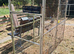 Show cages for finches, budgies or canaries