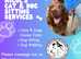 Nicol's Cats and Dogs Sitting Service