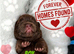 (last boy remaning) Adorable KC Registered Chow Chow Puppies For Sale