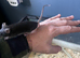 Male mice