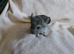 Chinchilla kit