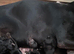 Female 10 weeks old pup