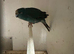 2 female Kakariki parrots available they are £80 each