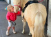 A true 1 in a million cremello kids Shetland.