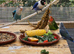 Rehome your lovebirds