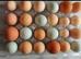 Chicken Eggs for hatching