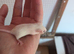 Female mice for sale