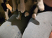 3 taby male kittens