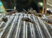 L333 pleco