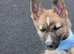 Shepsky