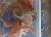 Baby lovebirds for sale
