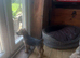 Border x Jack Russell Terrier