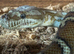 Bredls python female cb24