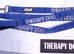 ASSISTANCE DOG COLLAR BRAND NEW IN PACKAGING, THERAPY DOG LEAD & COLLAR AND VELCRO PATCH SIGNS