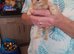 Three Gorgeous Bengal Tabby mixed kittens & 2 Ginger & white kittens