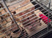 2 x male syrian hamsters