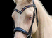 Highest % Arabian Cremello in the UK