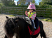 Lakehead Ellquence ~ 'Nellie' A pony in a Million