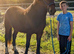 Stunning 2yr old to make 14.2