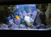 Juwel Rio 400 (450 litre) fish tank/aquarium for sale