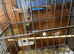 Zebra finches for sale