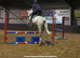 Briana gorgeous 10 yr old  grey mare 16.1
