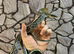 Vietnamese Blue Beauty Rat Snake