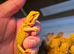 16 baby beardied dragons ready for forever homes