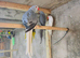 Indian Ringnecks for sale in various colours