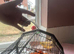 Bird travel cage