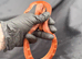 Blood red pied sided corn snake
