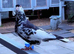 Afghan pigeons