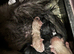 3 girls and 2 boys