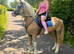 Golden lady mare pony