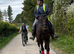 16hh Mare for sale ** She has now found a lovely loan home for the foreseeable.