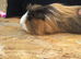 Beautiful long haired boy