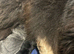 1 champion lines female to reserve ️