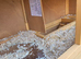 Brand New - Rabbit / Gunnie Pig Hutch for 2