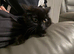 Fluffy black cat